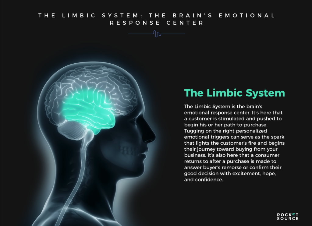 buyer cognition the limbic system