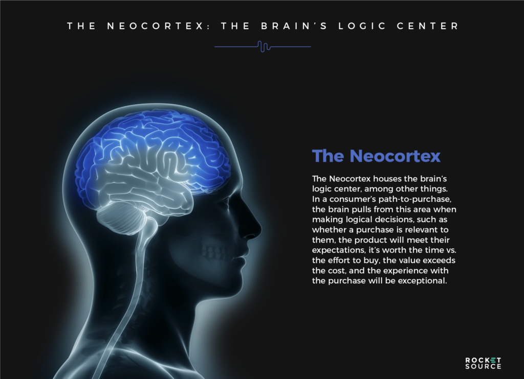 customer cognition the neocortex