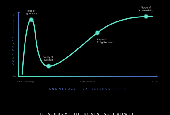 Revenue Acceleration and the S curve of growth