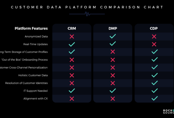 Revenue Acceleration and Customer Data Platform