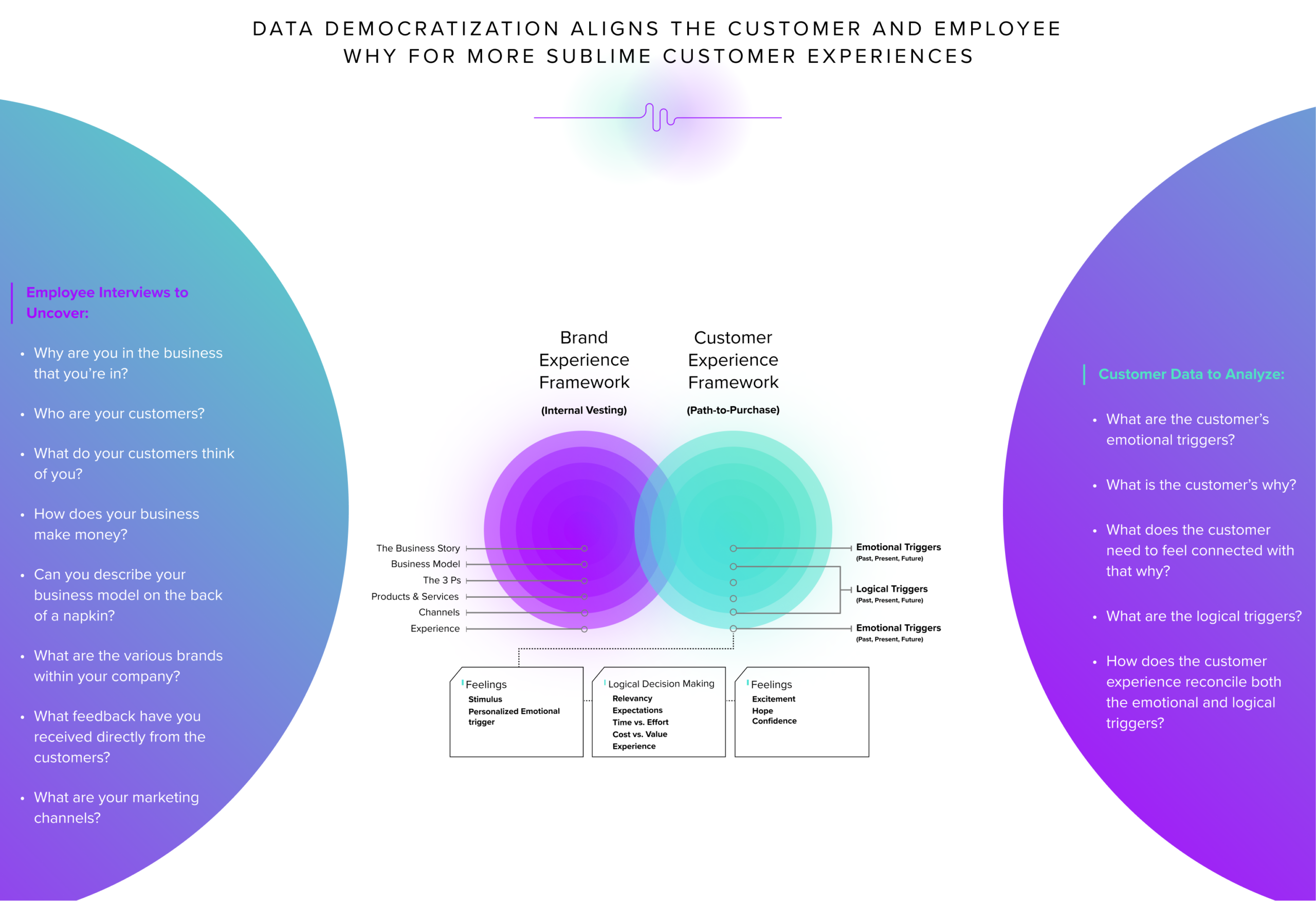 data democratization alignment questions