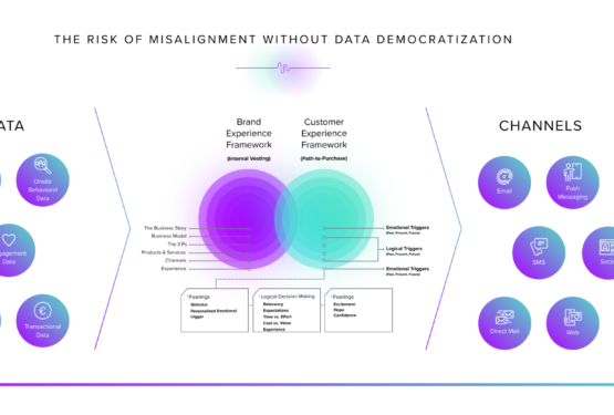data democratization across segments